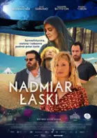 plakat filmu Nadmiar łaski