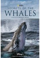 plakat filmu Tajemniczy świat waleni