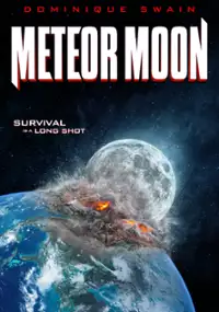 Plakat filmu Księżycowy meteoryt