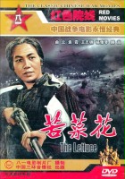 plakat filmu Ku cai hua