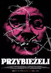 Plakat filmu Przybieżeli