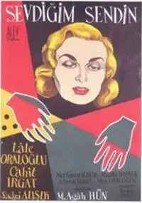Plakat filmu Sevdigim sendin