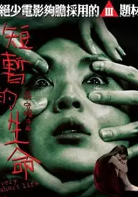 Plakat filmu Duen chaam dik sung ming