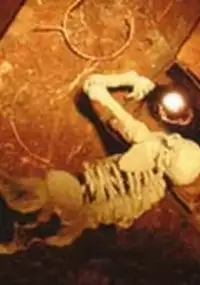 Plakat filmu Lost in Found