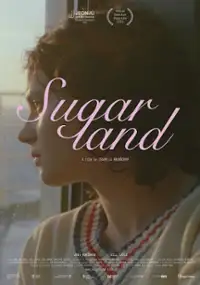 Plakat filmu Sugarland