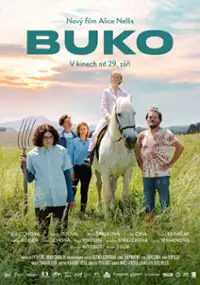 Plakat filmu Buko