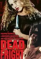plakat filmu La Gabbia