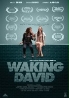 plakat filmu Waking David