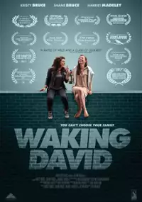Plakat filmu Waking David