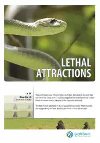 Plakat filmu Lethal Attractions
