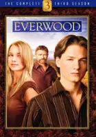 plakat - Everwood (2002)