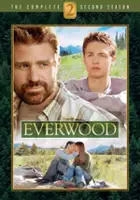 plakat - Everwood (2002)