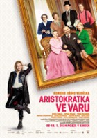 plakat filmu The Last Aristocrat 2