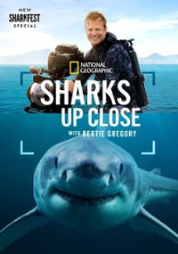 Bertie Gregory: Bliskie spotkanie z rekinami