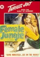 plakat filmu Kobieca dżungla