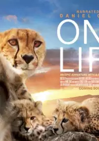 Plakat filmu One Life