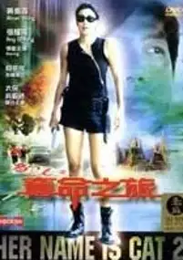 Plakat filmu Paau lui ji duet meng ji lui