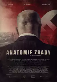 Plakat filmu Anatomie zrady