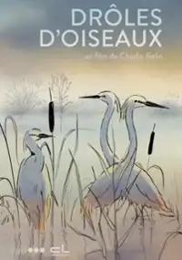 Plakat filmu Zabawne ptaki