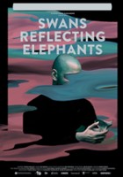 plakat filmu Swans Reflecting Elephants