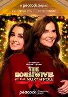 plakat filmu The Housewives of the North Pole