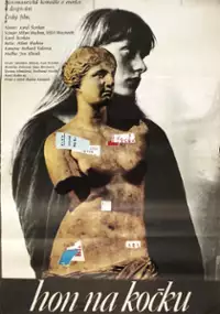 Plakat filmu Hon na kočku