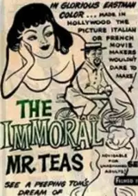 Plakat filmu The Immoral Mr. Teas