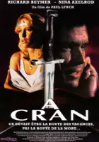 David J. Patterson / Cross Country