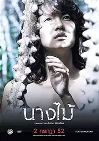 Plakat filmu Nimfa