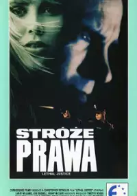 Plakat filmu Stróże prawa