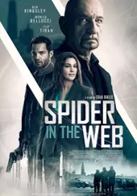 Plakat filmu Pająk w sieci