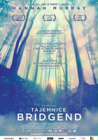 plakat filmu Tajemnice Bridgend
