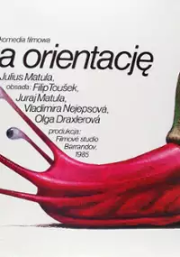 Plakat filmu Bieg na orientację