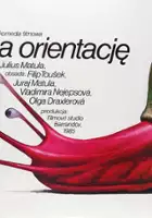 plakat filmu Bieg na orientację