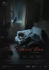 Plakat filmu Borotmokmedi