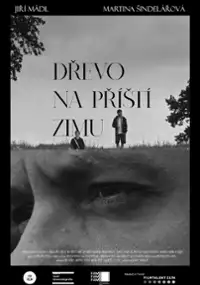 Plakat filmu Dřevo na příští zimu