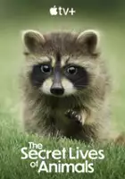 plakat filmu Sekretne życie zwierząt