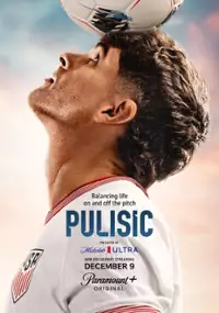 Plakat serialu Pulisic