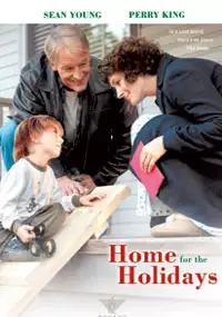 Plakat filmu Dom na Gwiazdkę