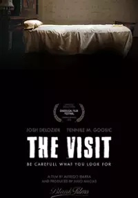 Plakat filmu Visit