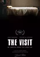 plakat filmu Visit
