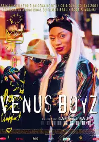 Plakat filmu Venus Boyz