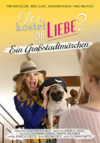 Plakat filmu Kopciuszek z przypadku