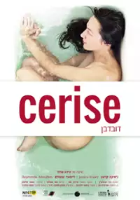 Plakat filmu Duvdevan