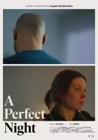 Plakat filmu Idealna noc