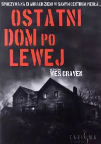 Plakat filmu Ostatni dom po lewej