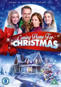 Plakat filmu Coming Home for Christmas