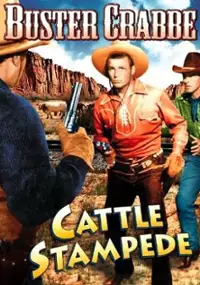 Plakat filmu Cattle Stampede
