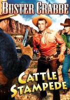 plakat filmu Cattle Stampede