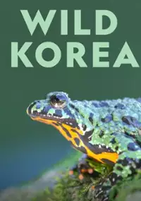 Plakat serialu Dzika Korea